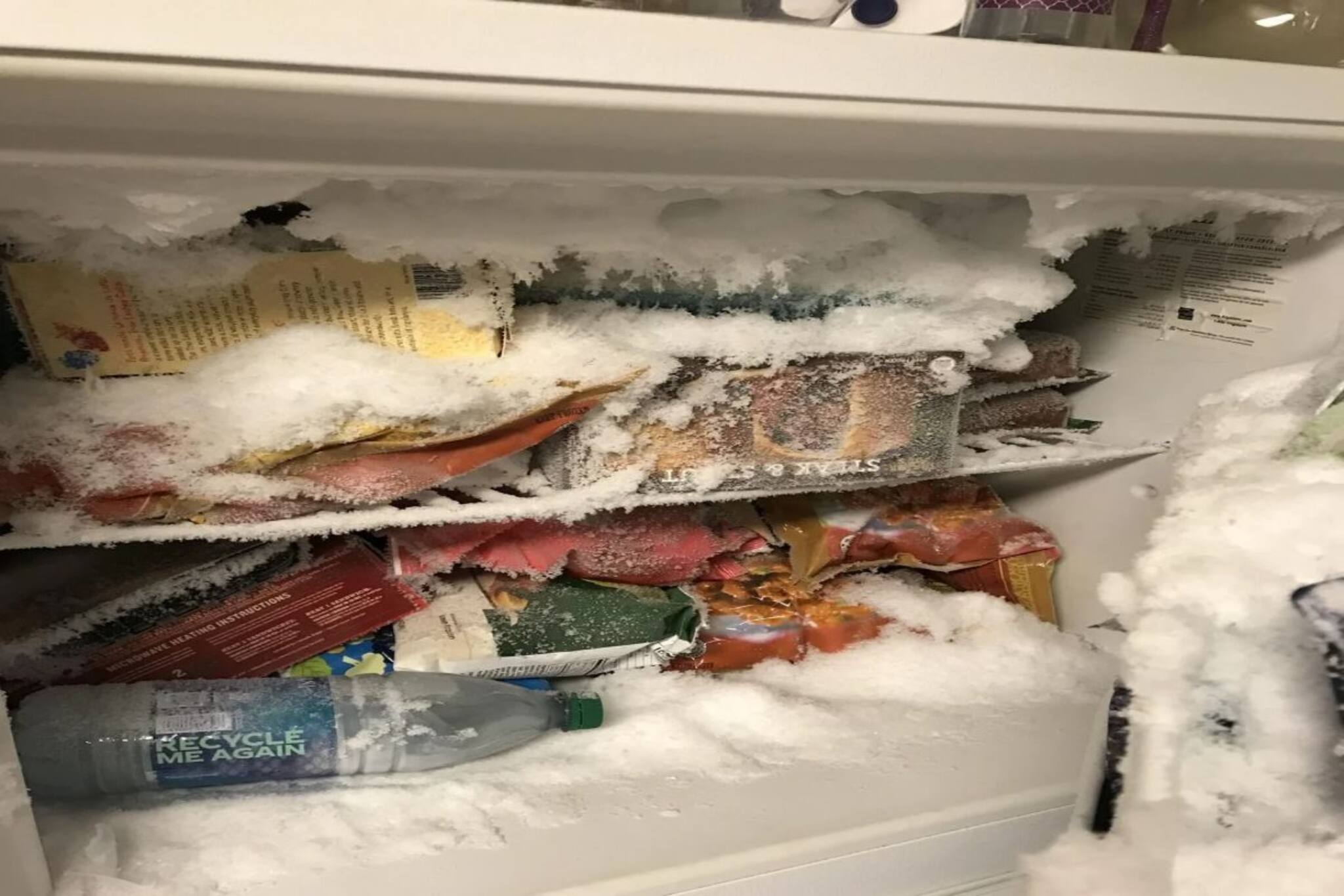 ফ্রিজের ফ্রিজারে পাহাড়ের মতো 'বরফ'? চুটকিতে গলে যাবে, কনফার্মড! শিখে নিন ছোট্ট সহজ 'টোটকা'