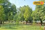 পুজোয় শান্তিনিকেতন ঘুরতে যাওয়ার প্ল্যান? দেরি না করে এখনই গুছিয়ে ফেলুন ব্যাগ