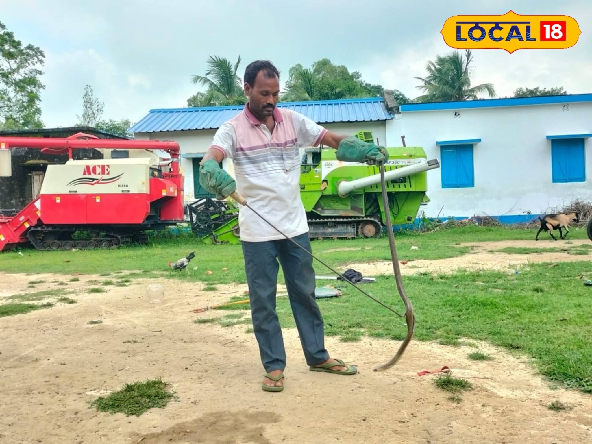 সীমান্তের 'এই' গ্রামে সাপ দেখলেই ফোন যায় সিভিক ভলান্টিয়ারের কাছে! কারণ জানলে চমকে যাবেন
