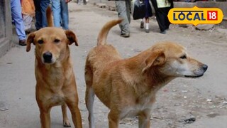 প্রতিকী ছবি