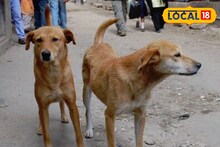 সারমেয়দের ডাকাডাকি! না হলে কী যে হত, ভেবেই হাত-পা ঠাণ্ডা হয়েছে যাচ্ছে পুলিশের