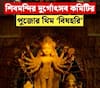 শিবমন্দির দুর্গোৎসব কমিটির পুজোর থিম ‘বিষহরি’