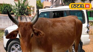 প্রতিকী ছবি।