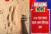 Lalgarh এর আজনাশুলি জঙ্গলে বাঘের পায়ের ছাপ, আতঙ্কে সংলগ্ন গ্রামের বাসিন্দারা