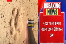 Lalgarh এর আজনাশুলি জঙ্গলে বাঘের পায়ের ছাপ, আতঙ্কে সংলগ্ন গ্রামের বাসিন্দারা
