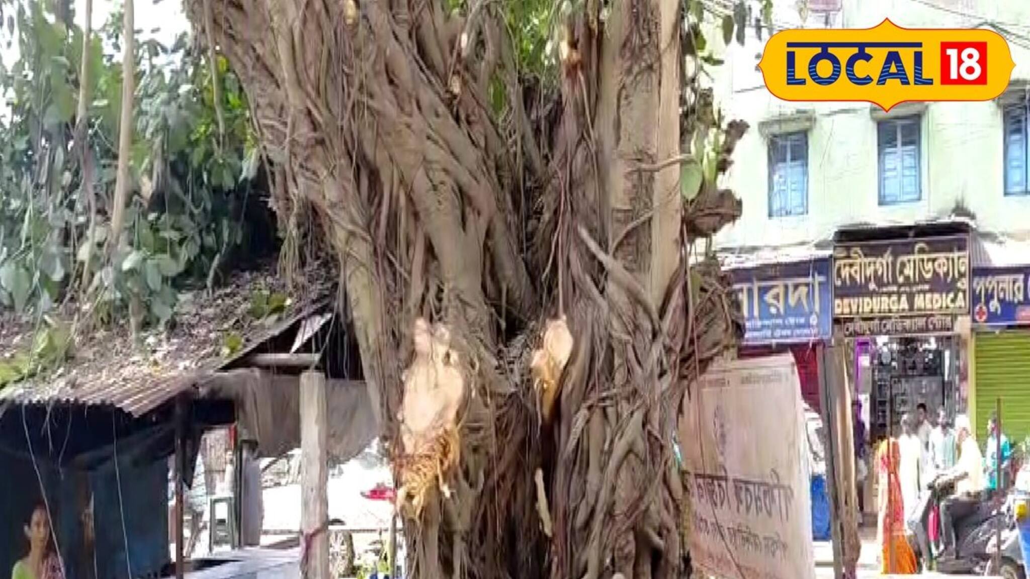 ডালপালা ছাঁটার নামে কী কাটা হচ্ছিল জানেন? ব্যাপক শোরগোল এলাকায়! জানুন পুরো ঘটনা