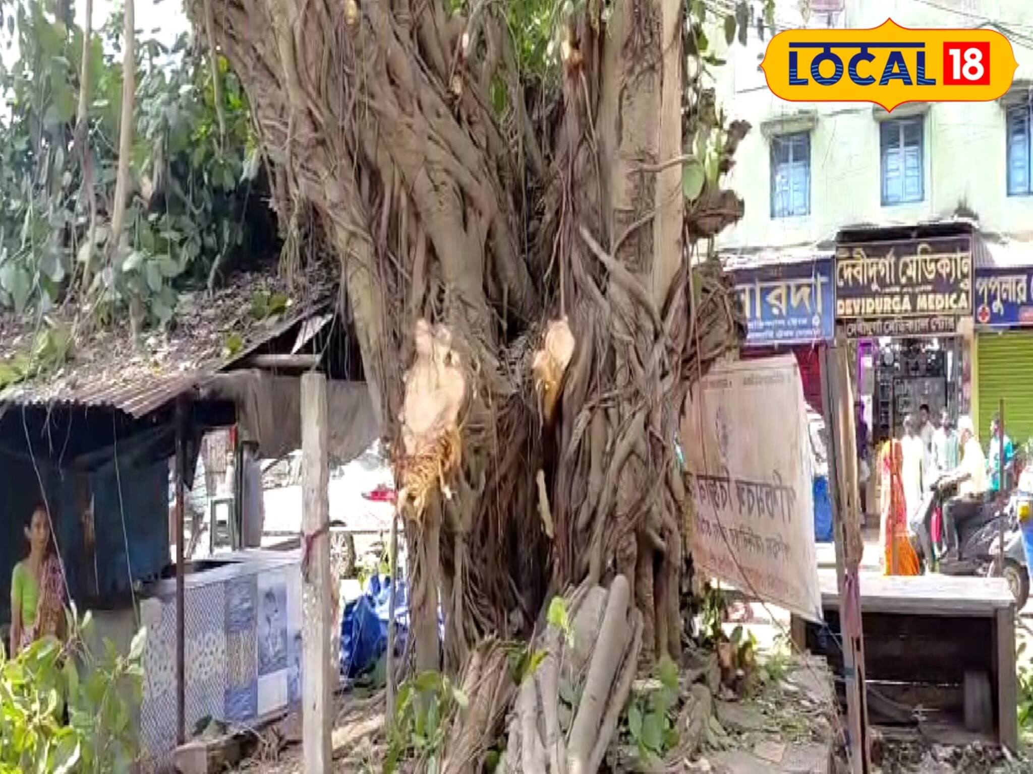 ডালপালা ছাঁটার নামে কী কাটা হচ্ছিল জানেন? ব্যাপক শোরগোল এলাকায়! জানুন পুরো ঘটনা