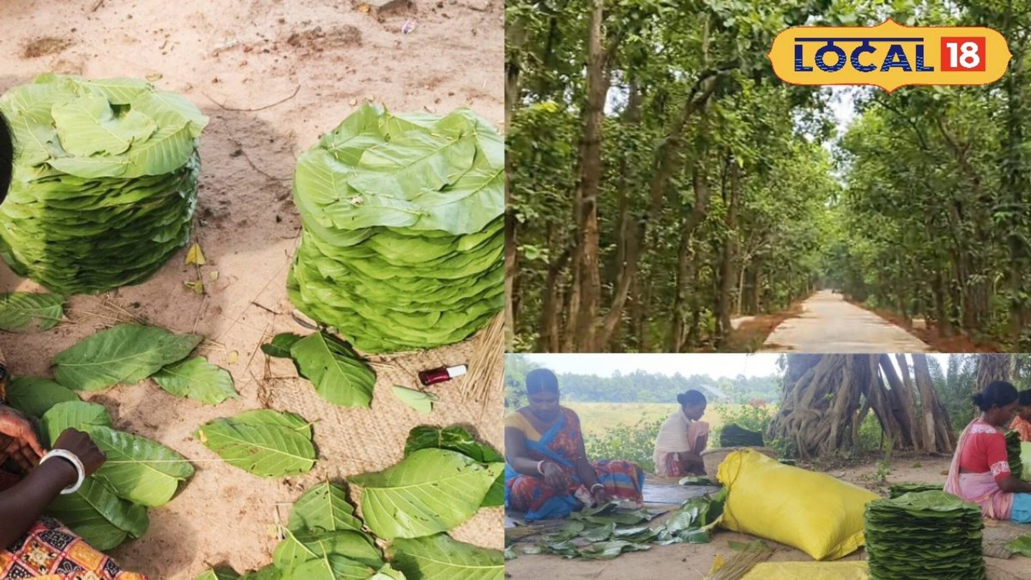 একটা শাল পাতার থালার পেছনে কত পরিশ্রম! কিন্তু দামের নামে 'লবডঙ্কা'