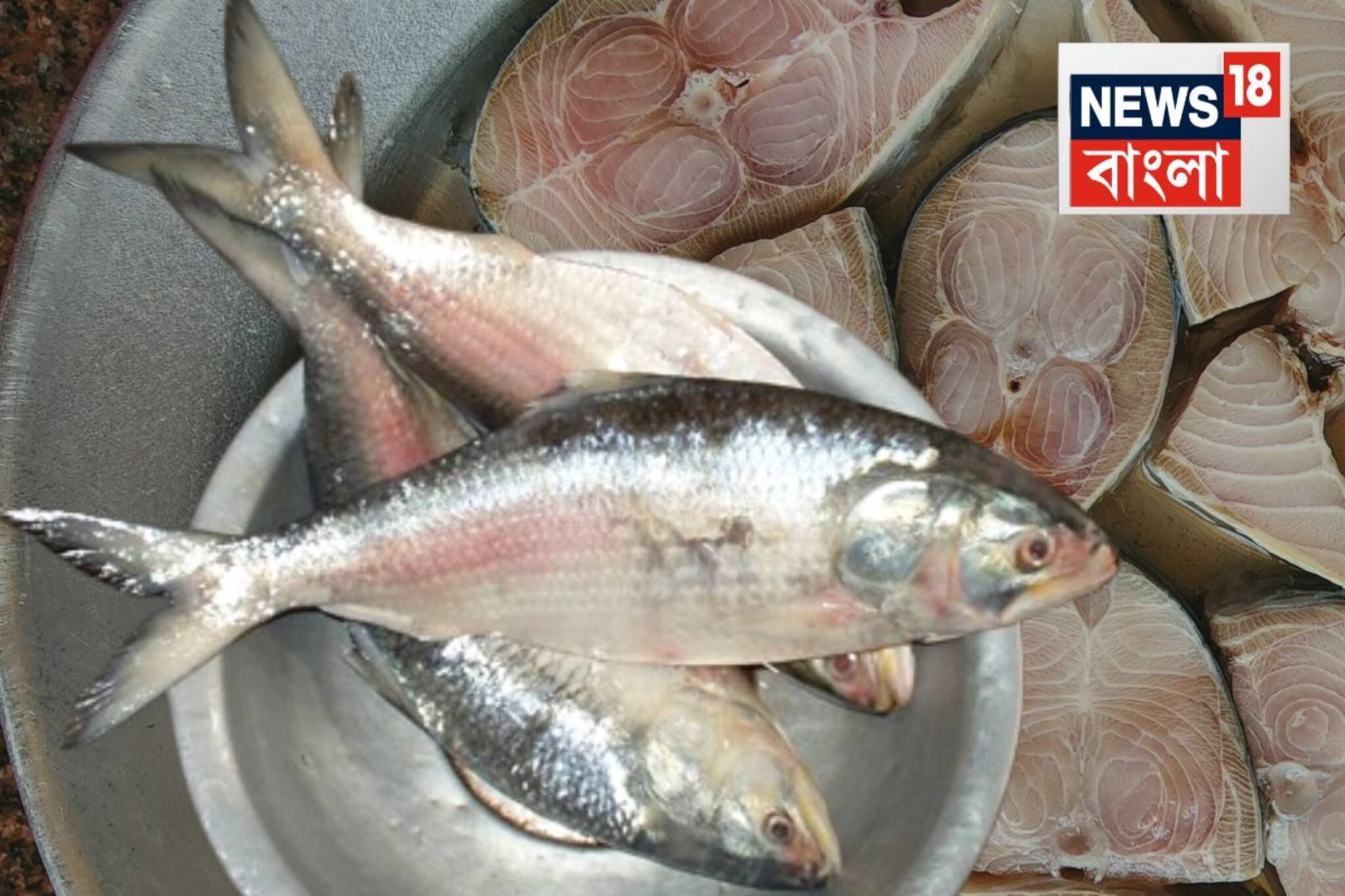 কোন ইলিশ একদম কিনবেন না! স্বাদ হয় না এক ফোঁটা...চড়া দামে কিনে দেখবেন একদম বেকার