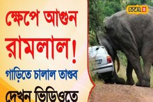 Elephant Video: ক্ষেপে আগুন রামলাল! সোজা প্রাইভেট গাড়িতে অ্যাটাক, দেখুন সেই ভয়ঙ্কর ভিডিও