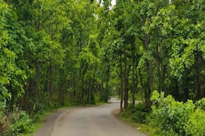 অরণ্যের নাম গণপুর, কলকাতার খুব কাছে মাত্র ৫০ টাকা খরচে গভীর জঙ্গলে সঙ্গীকে নিয়ে ঘুরে আসুন!