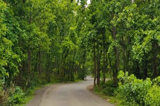 অরণ্যের নাম গণপুর, কলকাতার খুব কাছে মাত্র ৫০ টাকা খরচে গভীর জঙ্গলে সঙ্গীকে নিয়ে ঘুরে আসুন!