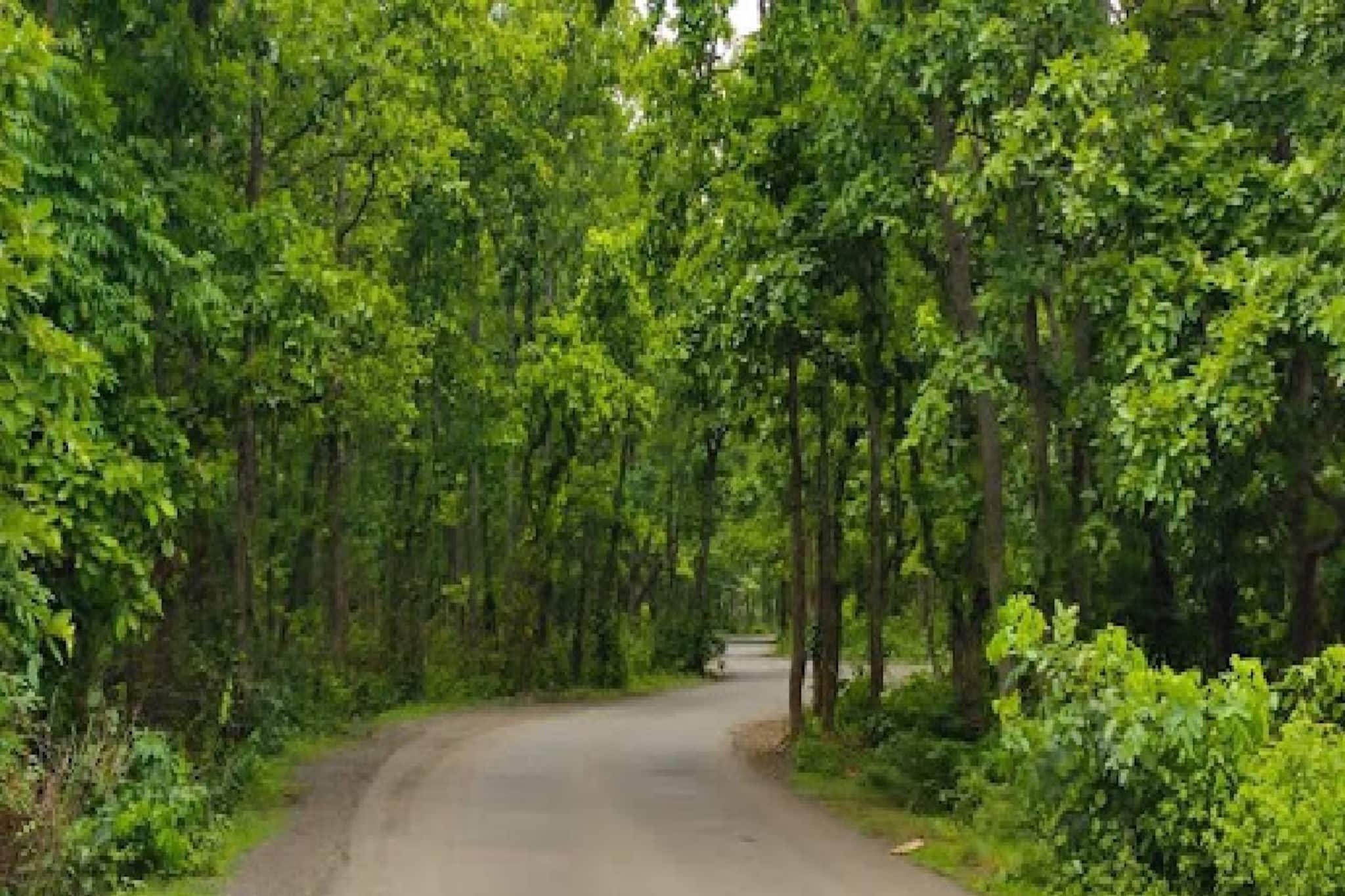 Weekend Tour: অরণ্যের নাম গণপুর, কলকাতার খুব কাছে মাত্র ৫০ টাকা খরচে গভীর জঙ্গলে সঙ্গীকে নিয়ে ঘুরে আসুন! রইল খুঁটিনাটি