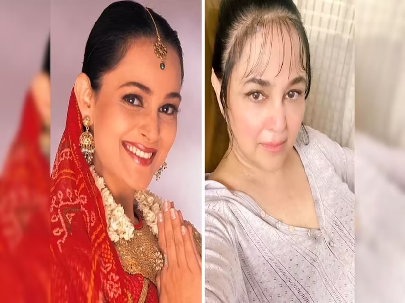 লেসলি লুইসের সঙ্গে ‘বম্বে গার্ল’ এবং ১৯৯৫ সালে মুক্তিপ্রাপ্ত ‘মেড ইন ইন্ডিয়া’ অ্যালবামের সাফল্যের পর আলিশা কেরিয়ারের শীর্ষে পৌঁছন। কিন্তু একই সময় বিতর্কেও জড়িয়ে পড়েন তিনি। 