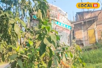 অটোকে ওভারটেক করতে গিয়ে কেলেঙ্কারি! নয়নজুলিতে যা হল...!
