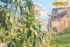অটোকে ওভারটেক করতে গিয়ে কেলেঙ্কারি! নয়নজুলিতে যা হল...!