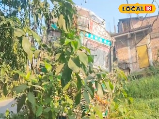 অটোকে ওভারটেক করতে গিয়ে কেলেঙ্কারি! নয়নজুলিতে যা হল...!