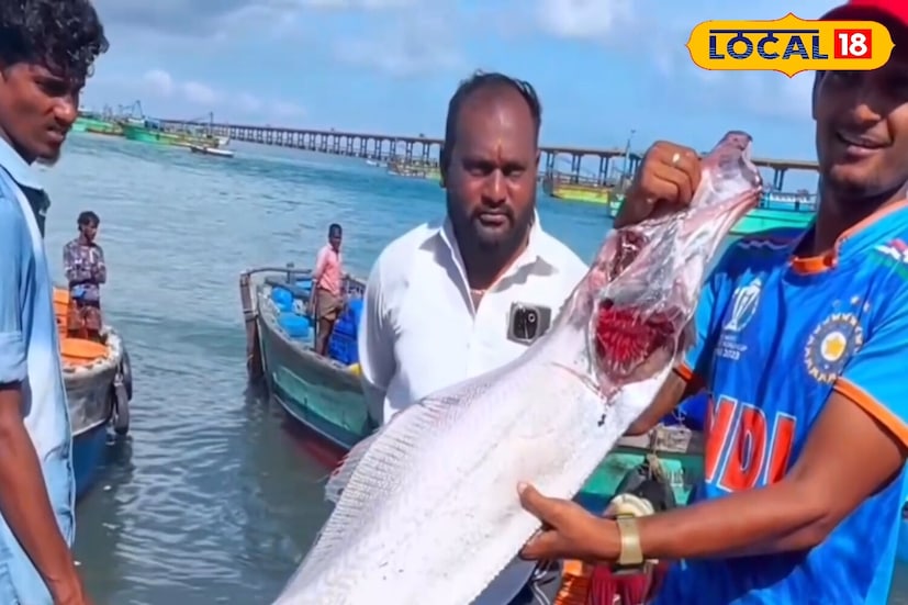 কথিত আছে যে সমুদ্রের তলদেশে যখন ভূমিকম্প হয়, তখন ডুমসডে মাছটি তা আগেই টের পায় এবং এলাকার মানুষকে সতর্ক করার জন্য সমুদ্রের পৃষ্ঠে উঠে আসে।