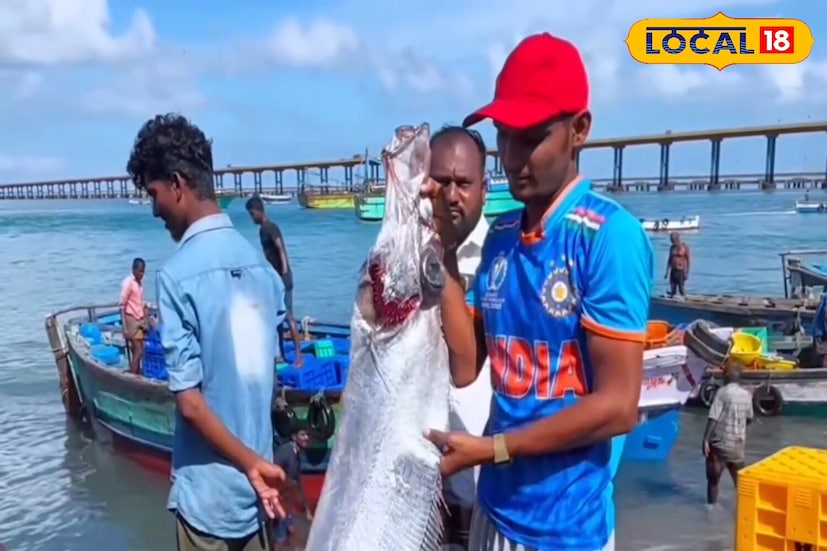 পাম্বানের কিছু জেলে জানিয়েছেন যে এই মাছের মতো জলজ প্রাণীটি আগে কখনও তাদের জালে ধরা পড়েনি। তাঁরা সাধারণত এক ফুট লম্বা মাছ ধরে থাকেন এই সমুদ্রে। কিন্তু এই মাছটি ৫ ফুট লম্বা। মৎস্যজীবীরা বলছেন, যদি এই মাছটি তীরে ভেসে আসে, তাহলে এর অর্থ এটি বিপর্যয় ডেকে আনবে খুব শিগগিরই।