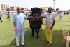 আলিশান বাড়ি-গাড়ি নয়, ষাঁড়ের দাম ৮ কোটি টাকা! শয়ে-শয়ে সন্তানের বাবা 'বিদ্যায়ক'!