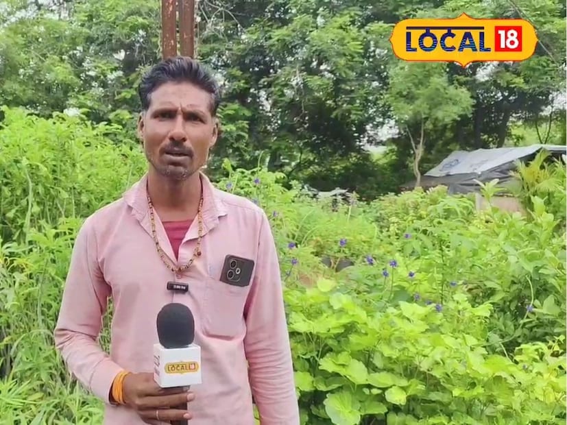 এলাকার কৃষকরা প্রায়ই আজকের ভরতের নার্সারিতে আসছেন এবং তাঁদের কাছ থেকে নার্সারির বিষয়ে নির্দেশ নিচ্ছেন। ভরতের মতে, নার্সারি ব্যবসা শুরু করার আগে, প্রত্যেকেরই এক মাসের প্রাক-নার্সারি ট্রেনিং নেওয়া উচিত, যেখানে তাদের চারা তৈরি, গাছ কাটার মতো সূক্ষ্ম বিষয়গুলি শিখে নিতে হবে। এই ধরণের প্রশিক্ষণ কৃষকদের এই ব্যবসা চালাতে সাহায্য করবে যাতে ভবিষ্যতে কোনও সমস্যা না হয়, এমনটাই বলেন নার্সারি ব্যবসায়ী ভরত মোর।