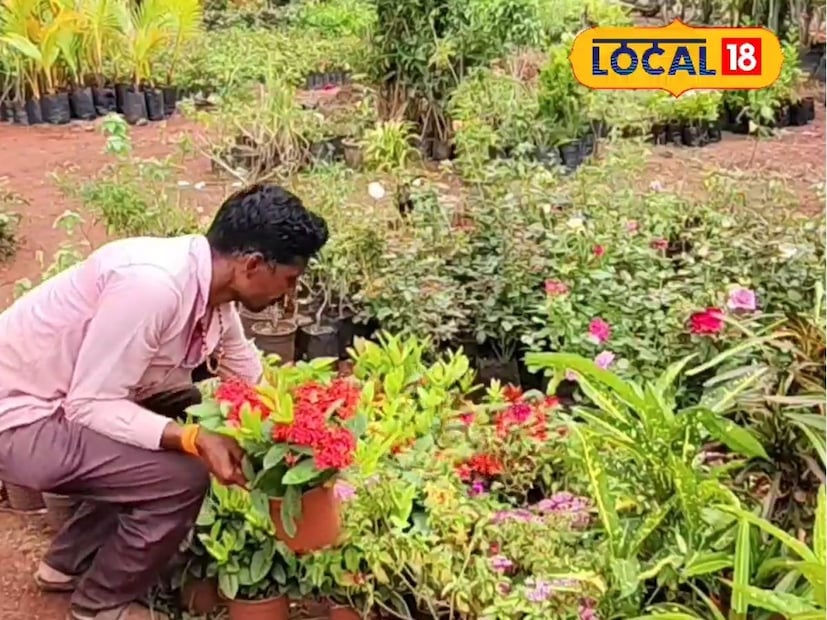 তাঁর নার্সারির মাধ্যমে মোট লেনদেন হয় ১.৫ লক্ষ টাকা। তাতে শ্রম খরচ বাদ দিলে, ৬০ হাজার টাকা অবশিষ্ট থাকে এবং ইনডোর গাছপালা রক্ষণাবেক্ষণ করে প্রতি মাসে মোট ৭০ থেকে ৮০ হাজার টাকা আয় হয়।