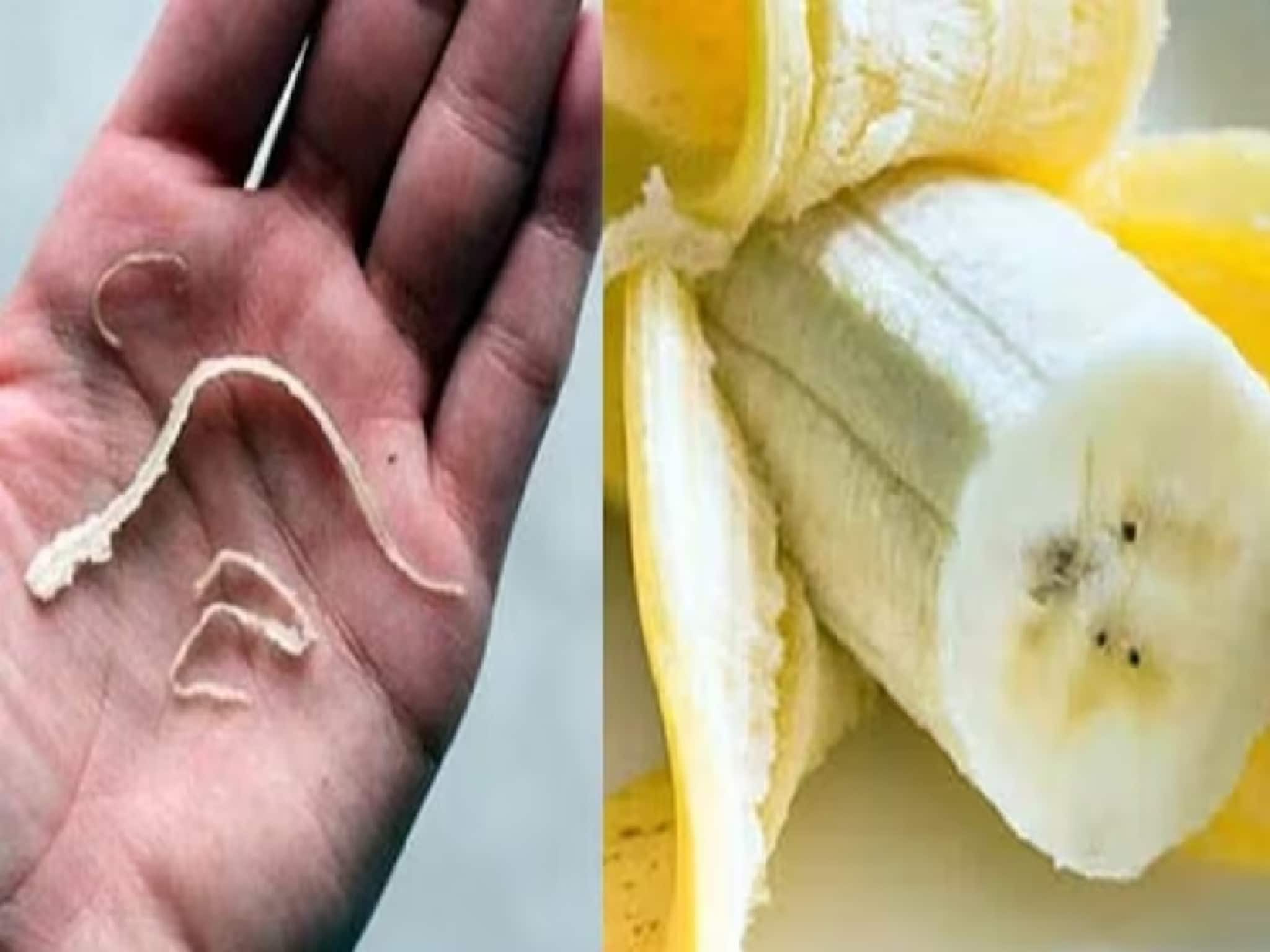 Banana Phloem Bundles Thread: কলা খাওয়ার সময় কি কলার সুতোগুলিও খান? কলার তন্তু পেটে চলে গেলে কী হয় জানুন