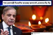 পাকিস্তানে কি আদৌ কোনও হিন্দু বেঁচে আছে! শহবাজ শরিফ দিওয়ালির শুভেচ্ছা জানাতেই হলেন ট্রোল