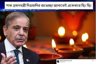 পাকিস্তানে কি আদৌ কোনও হিন্দু বেঁচে আছে! শহবাজ শরিফ দিওয়ালির শুভেচ্ছা জানাতেই হলেন ট্রোল