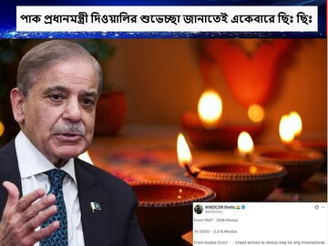 পাকিস্তানে কি আদৌ কোনও হিন্দু বেঁচে আছে! শহবাজ শরিফ দিওয়ালির শুভেচ্ছা জানাতেই হলেন ট্রোল