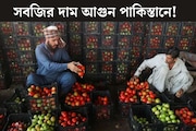টম‍্যাটো ৬০০ ‘টাকা’ কিলো, লেবু ৩০০...সবজির দাম আগুন পাকিস্তানে! ফ্রি-তে পাওয়া ধনের দাম কত