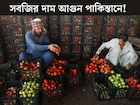টম‍্যাটো ৬০০ ‘টাকা’ কিলো, লেবু ৩০০...সবজির দাম আগুন পাকিস্তানে! ফ্রি-তে পাওয়া ধনের দাম কত
