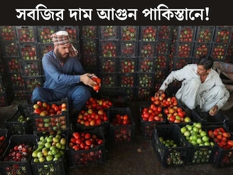 টম‍্যাটো ৬০০ ‘টাকা’ কিলো, লেবু ৩০০...সবজির দাম আগুন পাকিস্তানে! ফ্রি-তে পাওয়া ধনের দাম কত