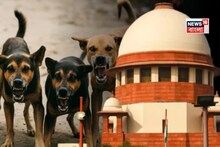 ‘মানুষের প্রতি নিষ্ঠুরতা কী হবে?’পথকুকুরদের অত্যাচারে বিশ্বের কাছে লজ্জিত হতে হচ্ছে ভারতকে