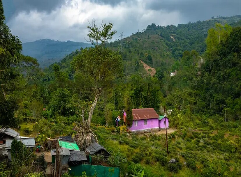 চরম সংকটে তাবাকোশি। মিরিক থেকে ৭ কিলোমিটার দূরত্ব তাবাকোশির। সেতু উড়ে যাওয়ায় ঘুরপথে চলছে যোগাযোগ। মিনিট ১৫-২০'র পথ পেরোতে এখন সমিয় লাগছে ২ ঘণ্টা। (পার্থপ্রতিম সরকার)
