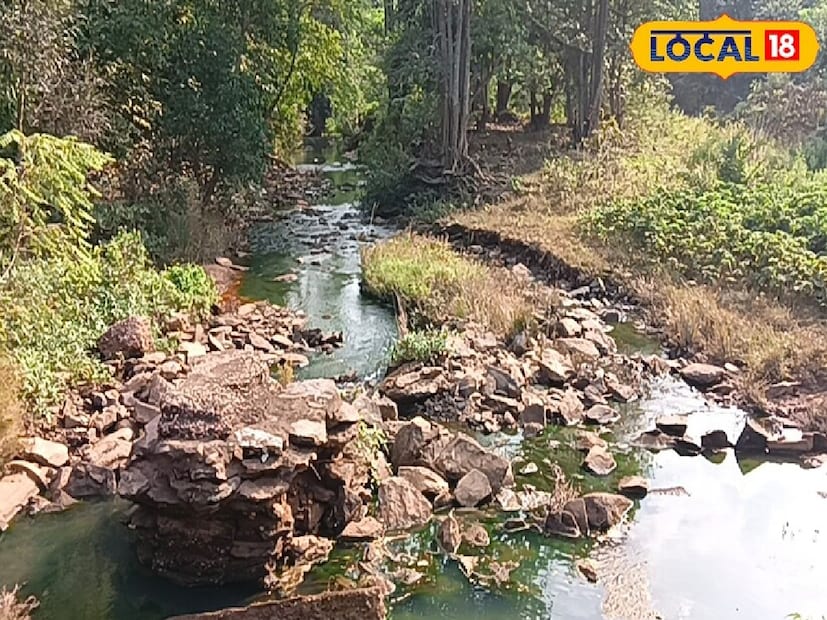 সম্প্রতি সোশ্যাল সাইটে এই মিনি পহেলগাঁও-এর ভিডিও ভাইরাল হওয়ার পরেই অফবিট এই জায়গায় পর্যটকদের ঢল নামতে দেখা যাচ্ছে। ভ্রমণপ্রেমীদের আকর্ষণের নতুন একটি জায়গা হয় উঠেছে প্রত্যন্ত জঙ্গলমহলের এই স্থান।