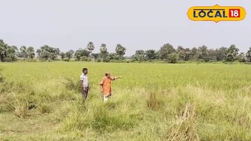 সতীডাঙা