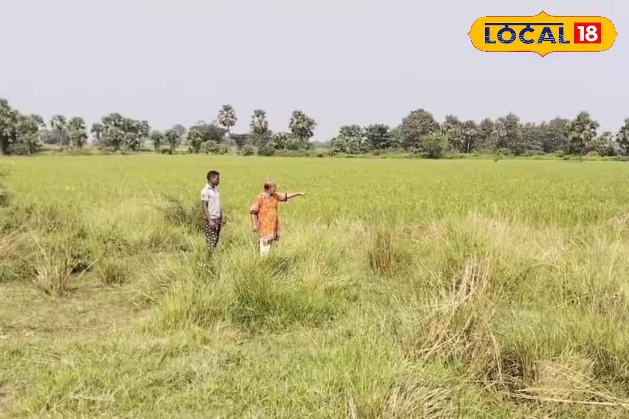 বর্ধমানের 'এই' জমিতে আজও হয় না কোনও ফসল! বয়ে বেড়াচ্ছে কোন 'অভিশাপ'?