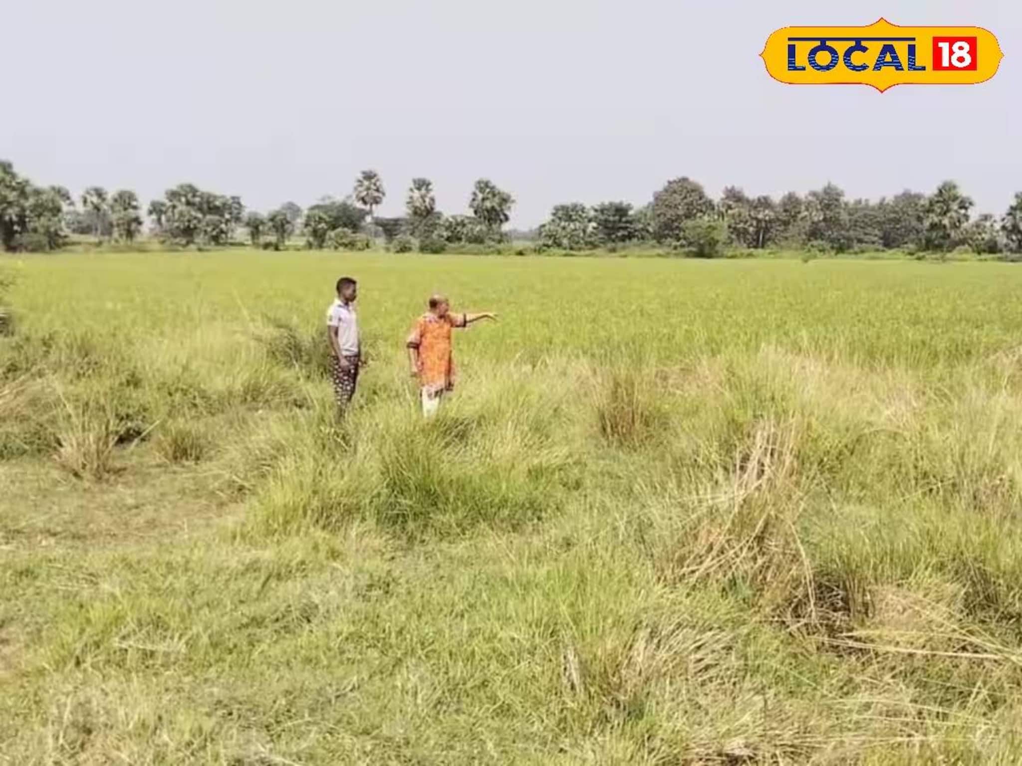 বর্ধমানের 'এই' জমিতে আজও হয় না কোনও ফসল! বয়ে বেড়াচ্ছে কোন 'অভিশাপ'?