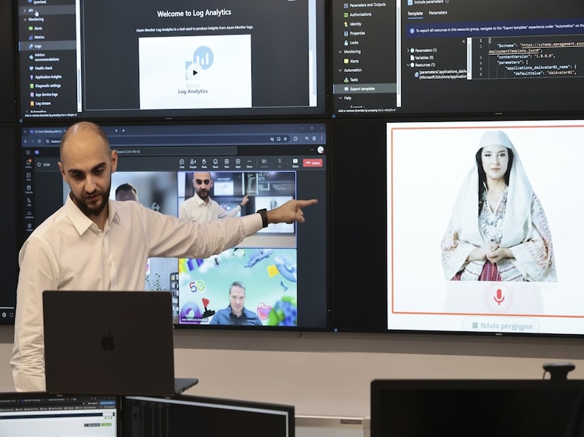 মাইক্রোসফটের সহযোগিতায় তৈরি এই এআই সহকারীর কাজ ছিল জনসাধারণকে সরকারি নথিপত্র পেতে সাহায্য করা। আগে, কেউ সরকারি বিভাগে সরকারি সার্টিফিকেট নিতে গেলে কর্মকর্তারা ঘুষ দাবি করতেন। ডিয়েলা সকল বিভাগীয় পরিবর্তনের সঙ্গে সঙ্গে  এআই-এর মাধ্যমে একই সার্টিফিকেট প্রদান শুরু করে। সরকারি হস্তক্ষেপ দূর করা হয় এবং জনগণ এই ব্যবস্থার প্রশংসা করতে শুরু করে। ব্যবসায়িক প্রতিষ্ঠানের উন্নতি হয় এবং দুর্নীতি অদৃশ্য হতে শুরু করে। সেপ্টেম্বরে, এডি রামা পার্লামেন্টে ব্যাপক হট্টগোল সৃষ্টি করেন। তিনি দিলাকে, ঐতিহ্যবাহী আলবেনীয় পোশাক পরিহিত একজন মহিলার আদলে তৈরি একটি এআই প্রোগ্রামকে মন্ত্রী হিসেবে নিযুক্ত করেন।