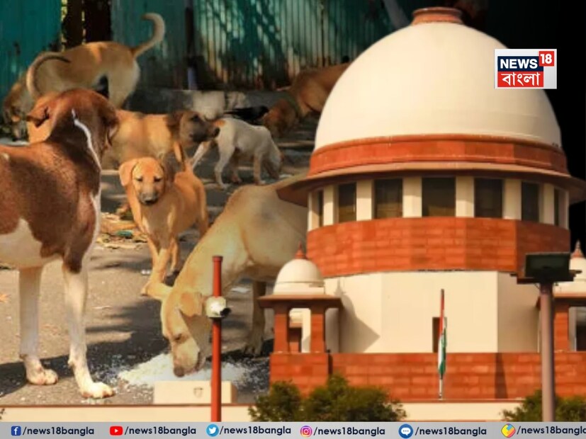 এই মামলা, যা জুলাইয়ের শেষের দিকে দিল্লি-এনসিআর অঞ্চলে মারাত্মক পথকুকুরের আক্রমণ এবং জলাতঙ্ক সম্পর্কিত মৃত্যুর উপর মিডিয়া রিপোর্টের পরে শুরু হয়েছিল, তখন থেকে আদালতে দ্রুত এবং কখনও কখনও পরস্পরবিরোধী ডেভালপমেন্ট প্রত্যক্ষ করেছে।