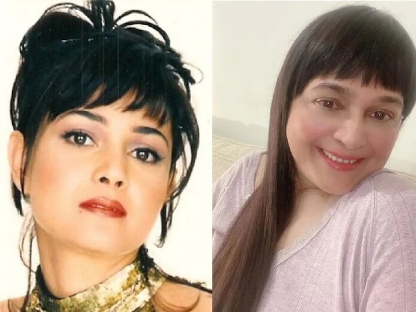 কত গান আসবে আর যাবে, কিন্তু ১৯৯০-এর দশকের জনপ্রিয় গান 'মেড ইন ইন্ডিয়া' মানুষ কখনও ভুলতে পারবেন না। ১৯৯৫ সালে আসা এই গানটি গেয়েছিলেন আলিশা চিনয়। এই গানের মাধ্যমে রাতারাতি সুপারস্টার গায়িকা হয়েছিলেন 'বেবি ডল' আলিশা। তাঁকে সকলে ইন্ডিপপের রানি বলতে শুরু করেছিলেন।