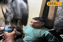 Rhino: নিরীহ বন্যপ্রাণীদের সঙ্গে 'কুকর্ম'! সাবধান হন এখনই, নয়তো ভুগতে হবে, জানুন কী ঘটেছে জলদাপাড়ায়