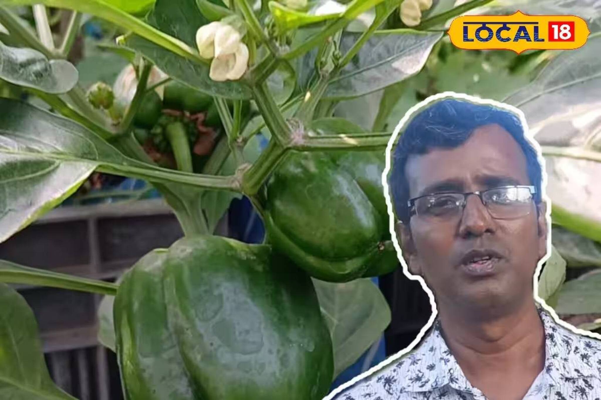 রবি ফসল চাষে আরও বাড়বে লাভ! শুধু মানতে হবে বিশেষজ্ঞের 'এই' কয়েকটি টিপস