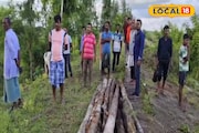 ঝাউ বন বানাচ্ছে সরকার! সেই গোবর্ধনপুরে দেদার বনাঞ্চল কাটার অভিযোগ
