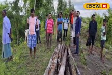 ঝাউ বন বানাচ্ছে সরকার! সেখানেই দেদার বনাঞ্চল কাটার অভিযোগ, কাঠগড়ায় একাধিক 'প্রভাবশালী'! কী বলছেন বিধায়ক?