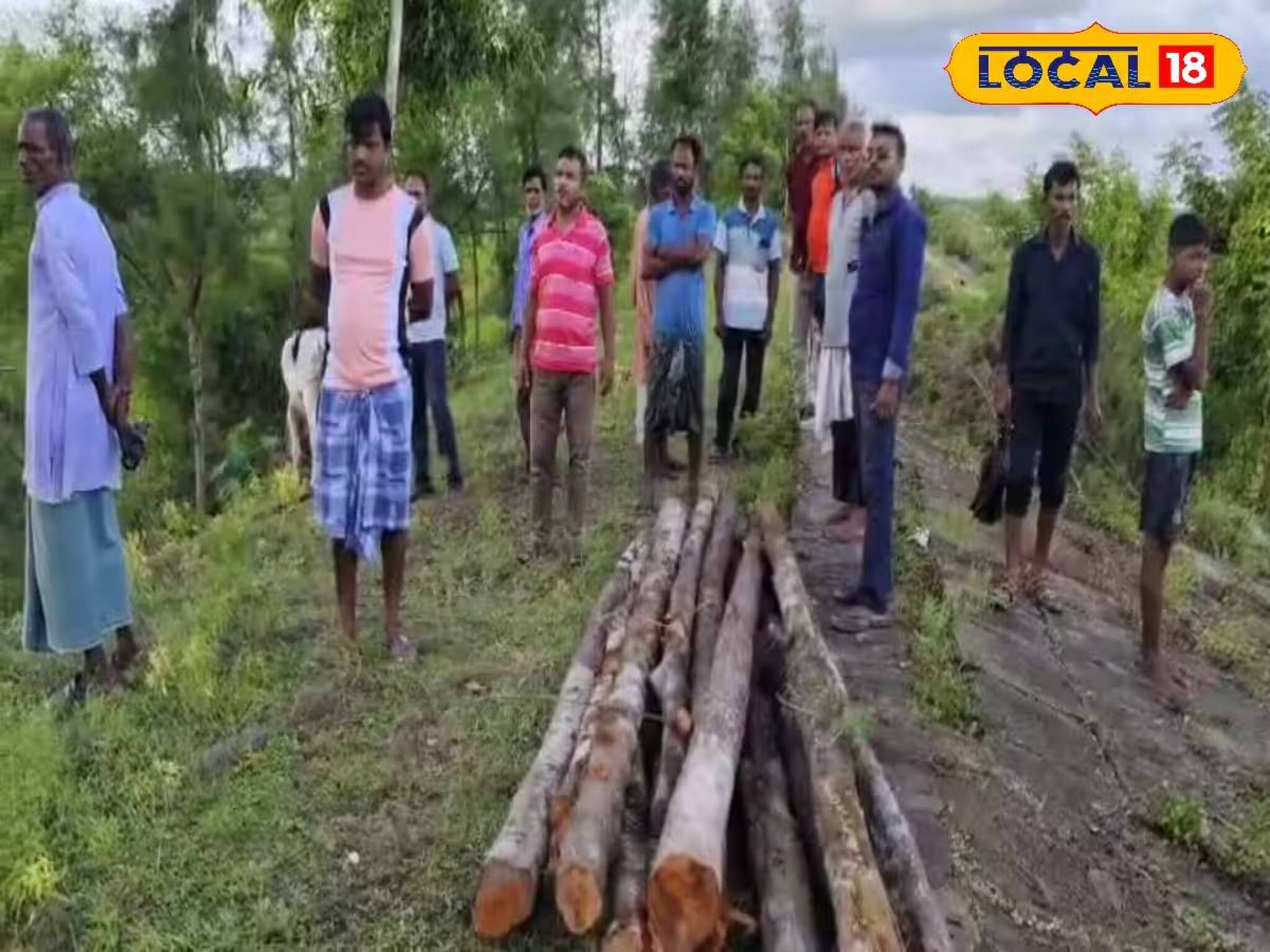 ঝাউ বন বানাচ্ছে সরকার! সেই গোবর্ধনপুরে দেদার বনাঞ্চল কাটার অভিযোগ