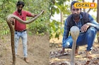 গোখরোর ছোবলও হজম করেছেন! সাপের বন্ধু, বীরভূমের গর্ব, চিনুন অমিতকে
