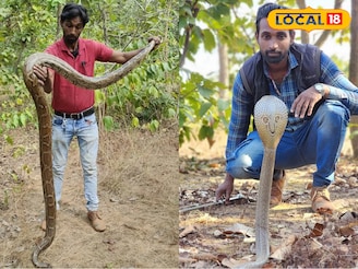 গোখরোর ছোবলও হজম করেছেন! সাপের বন্ধু, বীরভূমের গর্ব, চিনুন অমিতকে