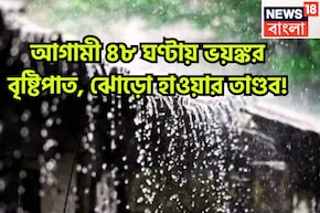 আগামী ৪৮ ঘণ্টায় ভয়ঙ্কর বৃষ্টিপাত, ঝোড়ো হাওয়ার তাণ্ডব! ঝড়জলের লেটেস্ট আপডেট